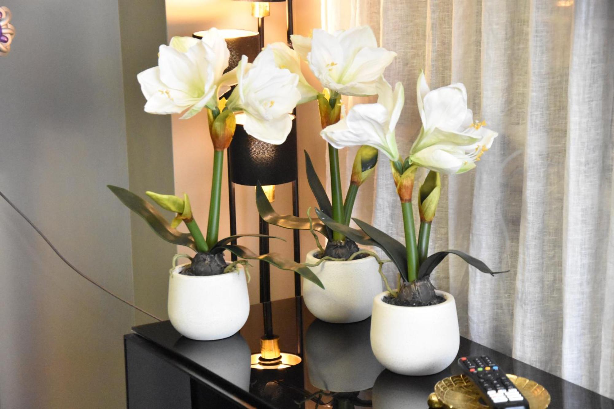 Diasof Apartment Rom