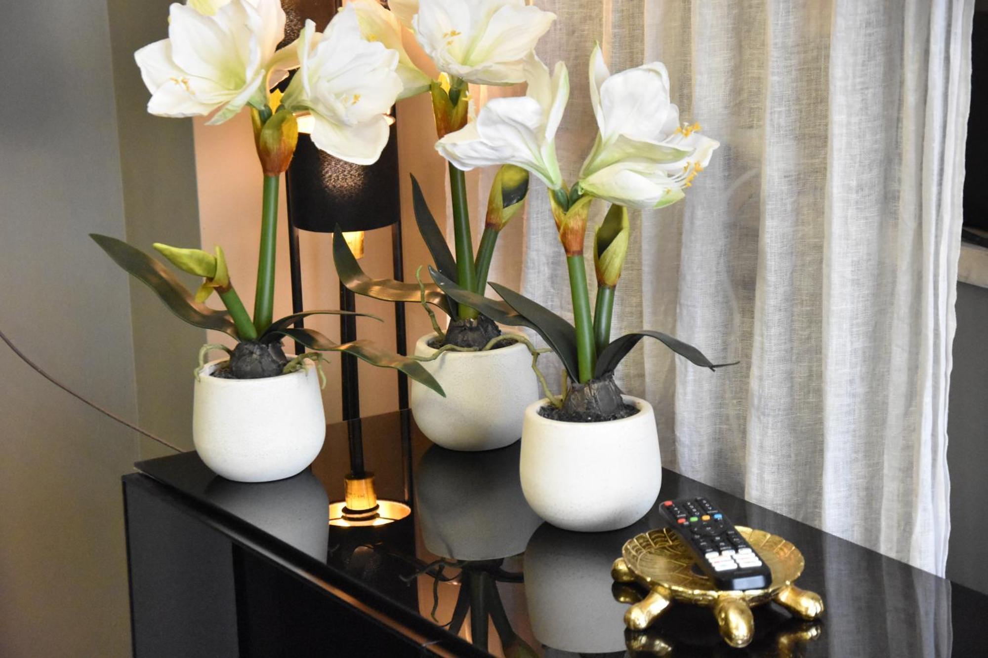 Apartment Diasof Rom